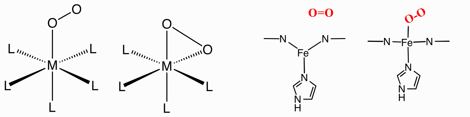 O2 binding to metals eg in Myoglobin