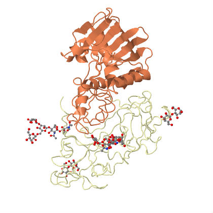 structure of ricin