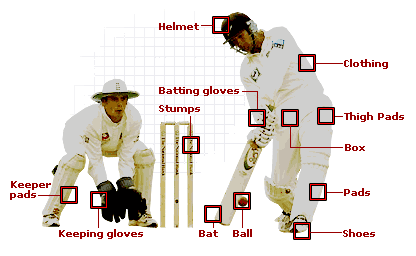 early cricket game