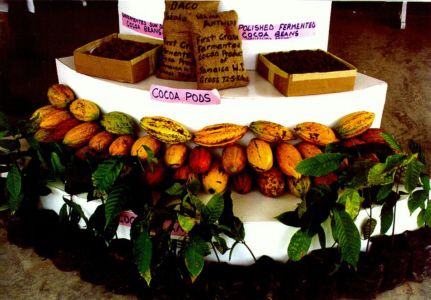 Ja. Cocoa Board display